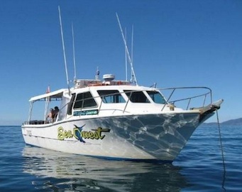 MV Seaquest takes up to 12 passengers